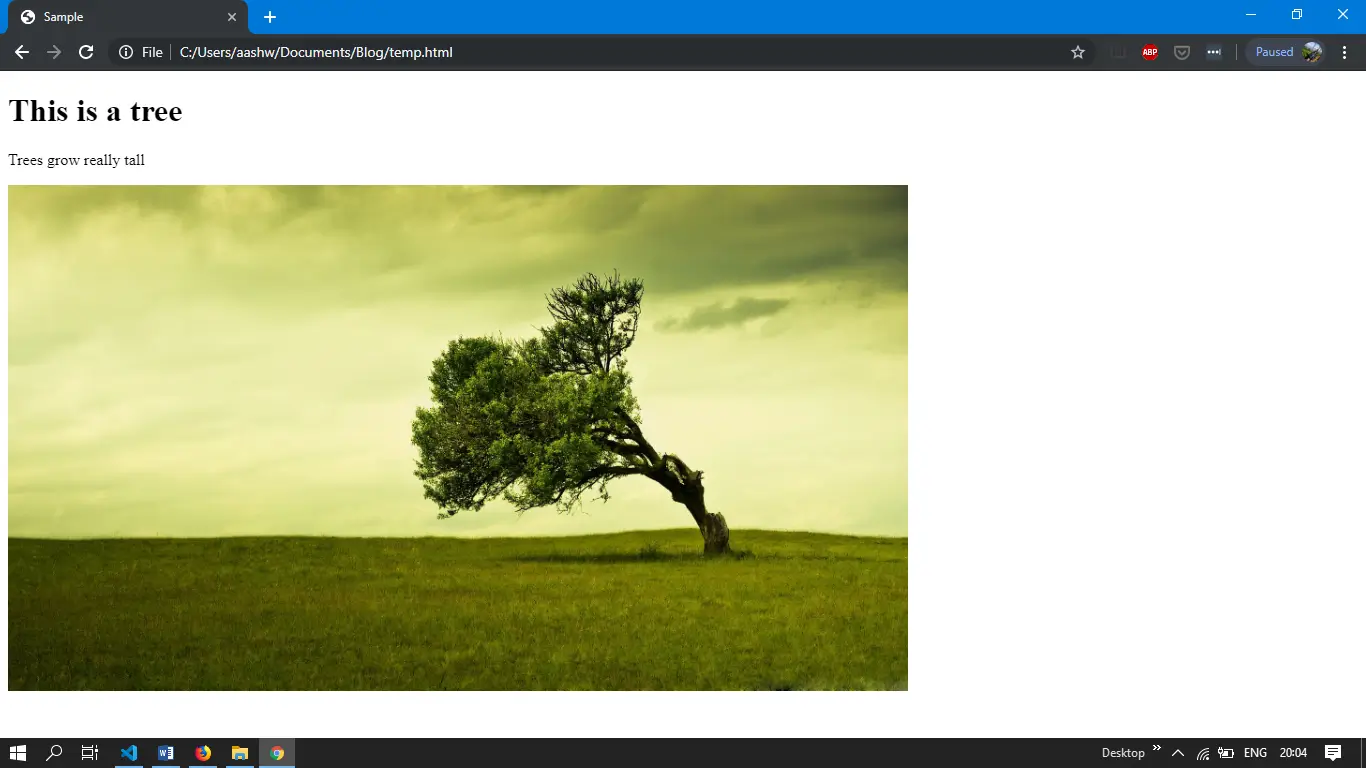 screenshot taken from a browser window of a tree